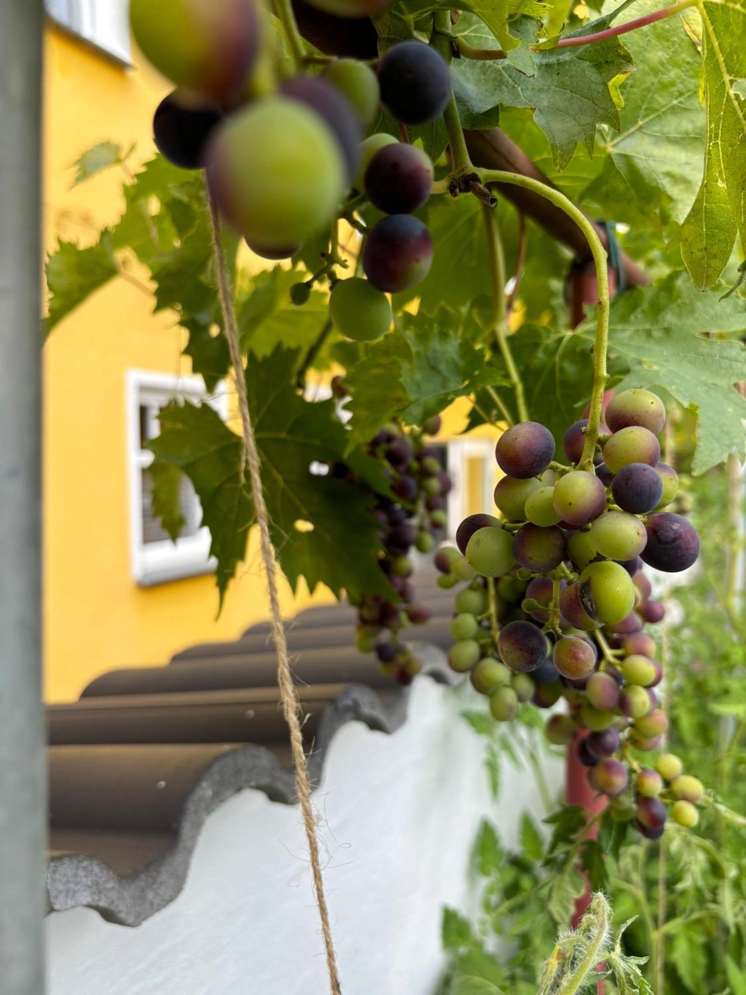 Haus Rheinleben Apartment Boppard